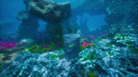 exploring a vibrant underwater coral reef