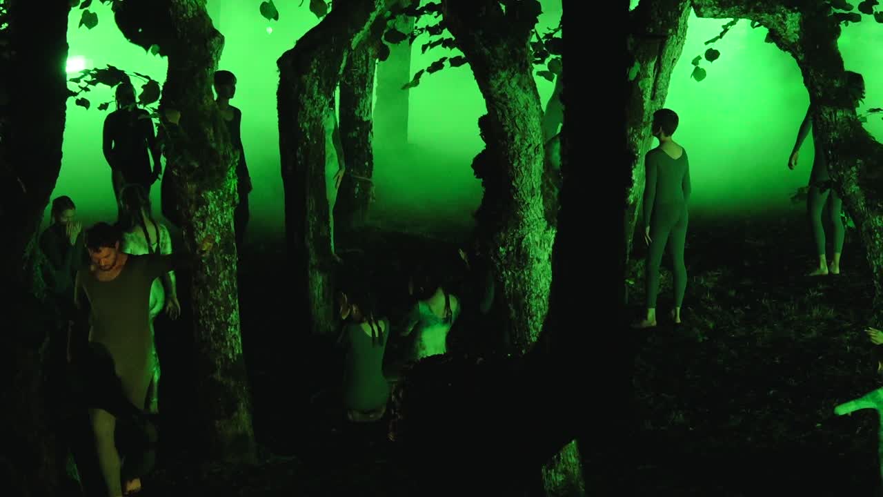 Artistic Performance in an Eerie Green Forest with Dancers