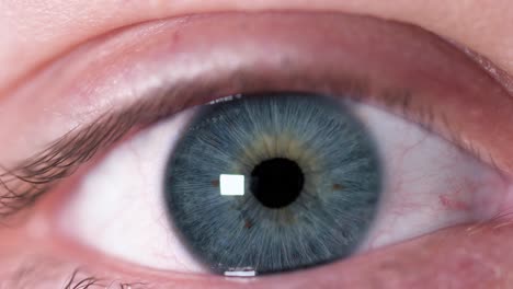 primer plano de un ojo azul