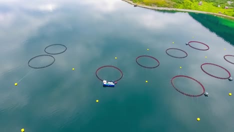 Aerial-footage-Farm-salmon-fishing-in-Norway