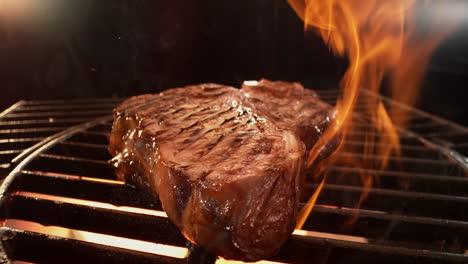 grilled t-bone steak