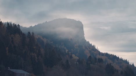 a mountain wrapped in fog towers above the forest