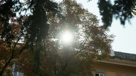 Umlaufende-Zeitlupenaufnahme-Mit-Sonne,-Die-Durch-Bäume-In-Der-Stadtszene-Scheint