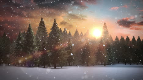 snow falling over trees on winter landscape against shining sun in the sky