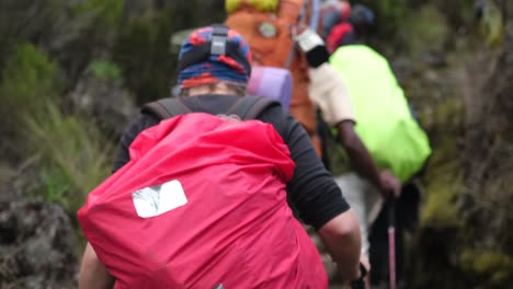 a girl with a backpack, an action camera and trekking poles walks along the trail