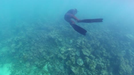 Freediver-filming-a-turtle-in-the-ocean