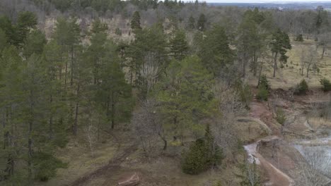 pan up aerial view drone flight over forest in kinnekulle sweden