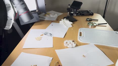 close-up view of seeds on a table in a well-lit photography studio, highlighting scientific examination and arrangement