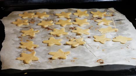 Eine-Frau-Legt-Weihnachtliche-Lebkuchenplätzchen-Auf-Einem-Backblech-Aus