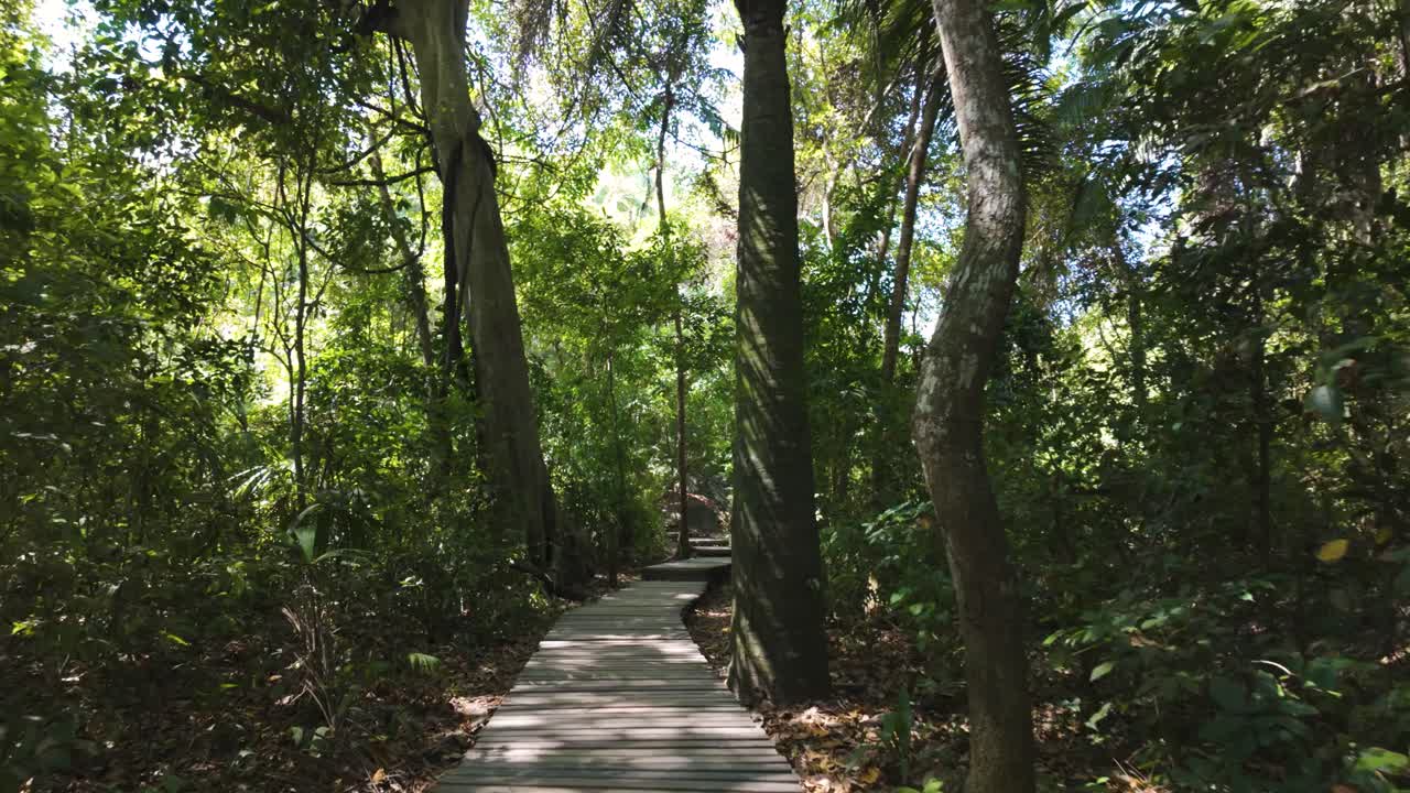 콜롬비아의 테이로나 국립공원을 가로지르는 고립된 길