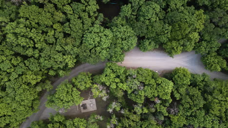 Camino-De-Tierra-Escénica-Que-Serpentea-Con-Gracia-A-Través-Del-Corazón-De-Un-Bosque-Exuberante,-Vista-Aérea