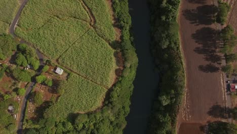 Flug-über-Fluss--Und-Zuckerrohrfelder-Auf-Mauritius