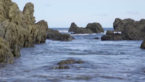 princess bay, wellington, new zealand