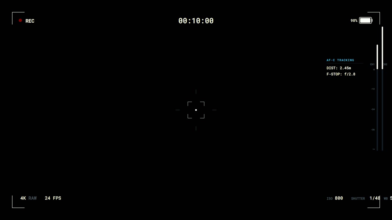 Digital Camera Viewfinder Interface Overlay