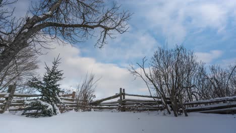 toma de gran ángulo de un sereno paisaje nevado con árboles desnudos y una valla de madera tradicional, cielo azul claro por encima, time-lapse