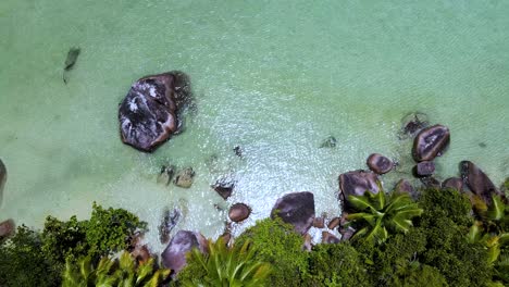 Seychelles-La-Digue-Snorkeling-Marine-Park7.mp4