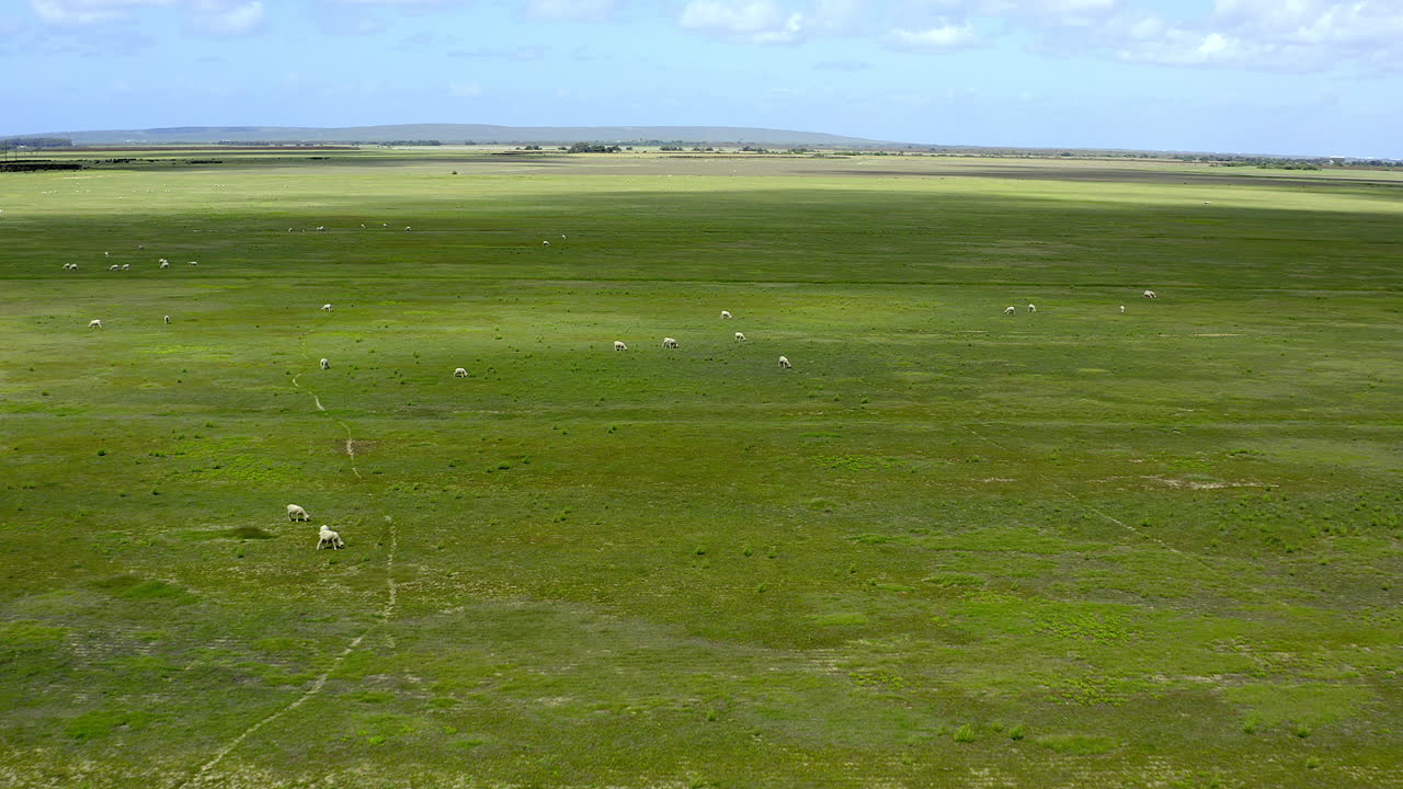 세상은 너무 넓어서 그들을 감금할 수 없습니다.