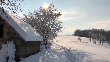 雪覆蓋的森林中的早晨徒步旅行