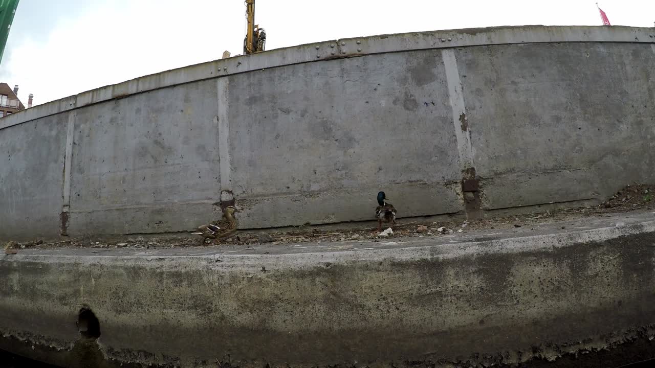 embankment of Gdańsk old town seen from kayak