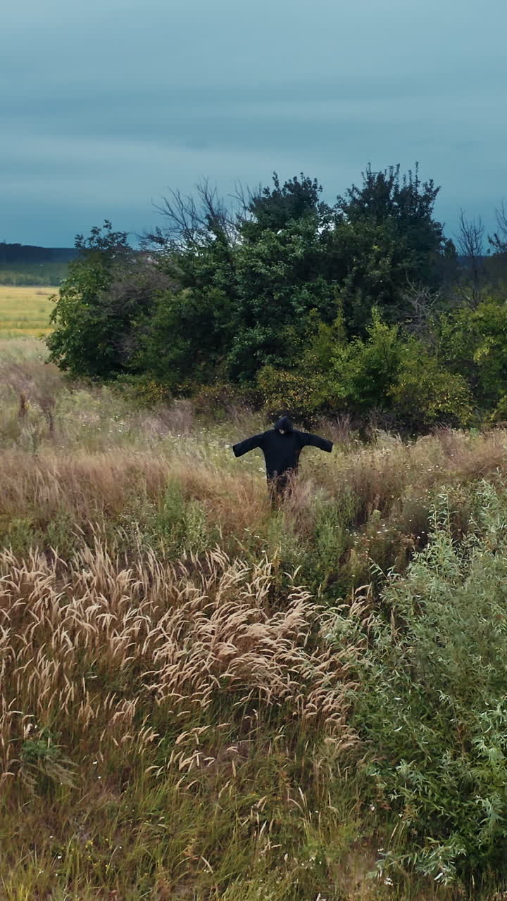 Devil in black costume in nature. Field in summer and dark figure in black robe with outstretched arms standing. Horrorful ghost outdoors. Vertical video