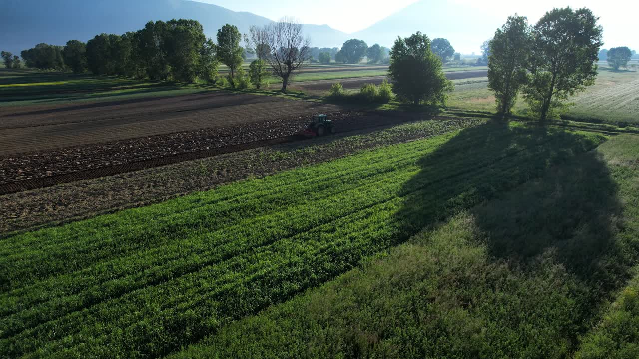 Misty Morning on Farm Fields: Fog Over Parcels and Field Orchards, Reflecting Agricultural Contradictions and Rural Farming Practices