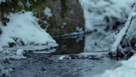 macro shot of a tiny stream on a winter day with snowfall
