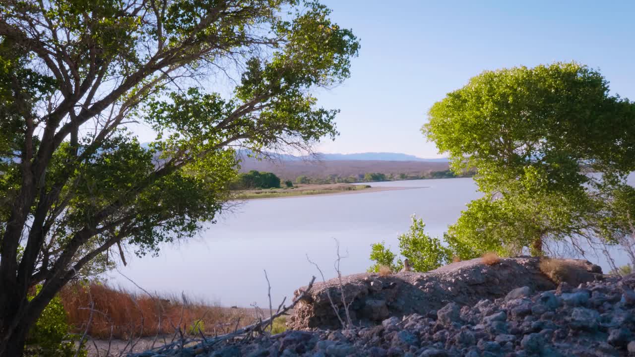 Fiume in una soleggiata giornata estiva