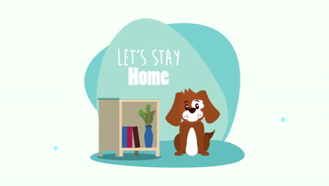 campaña de quedarse en casa con el perro en la casa