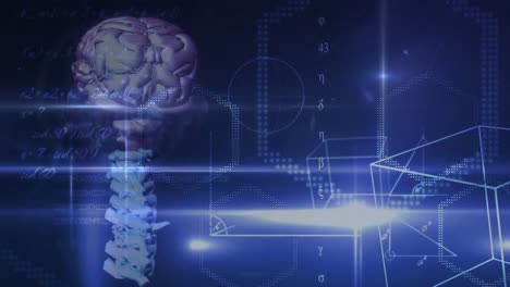 animación del cerebro con tecnología y procesamiento de datos