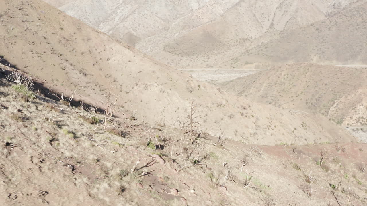 Arid Mountain Landscape with Sparse Vegetation and Shadows