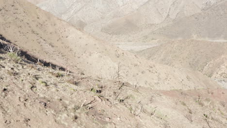 arid mountain landscape with sparse vegetation and shadows