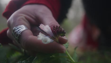 Cerca-De-Manos-Endureciendo-La-Flor-En-El-Suelo-Del-Bosque