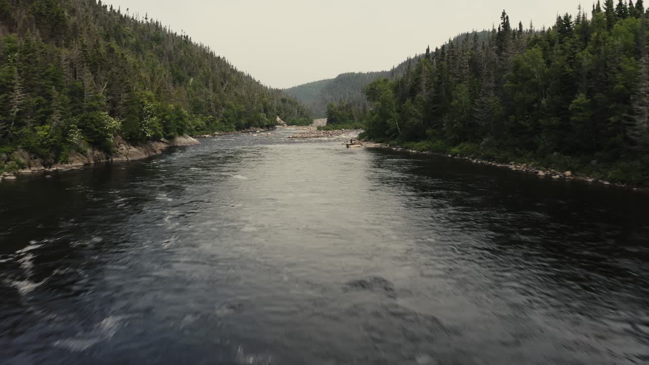 Aerial View of a Serene River Flowing Through a Lush Forest