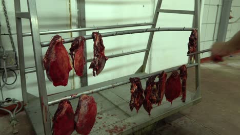 butcher sharpening knife in slaughterhouse meat industry horse meat