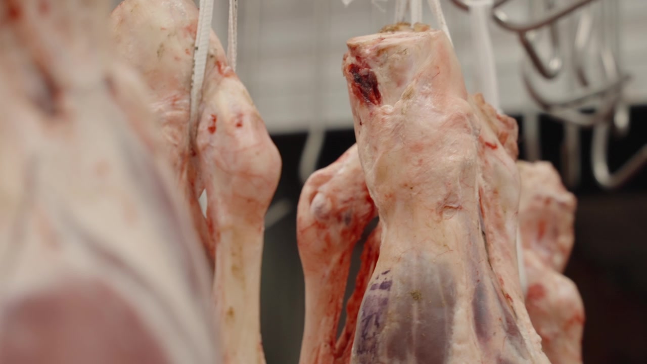 Fresh lamb carcasses hang from hooks in a chilled processing room, close-up of raw cuts and texture.
