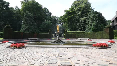 peaceful fountain water jet in the middle covered by water lily blossom and surrounded by the tall tree