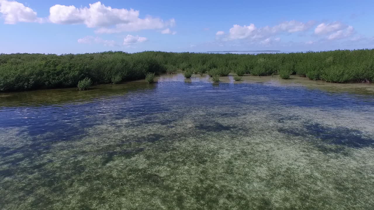 съемка с воздуха над мангровым островом во флориде 1