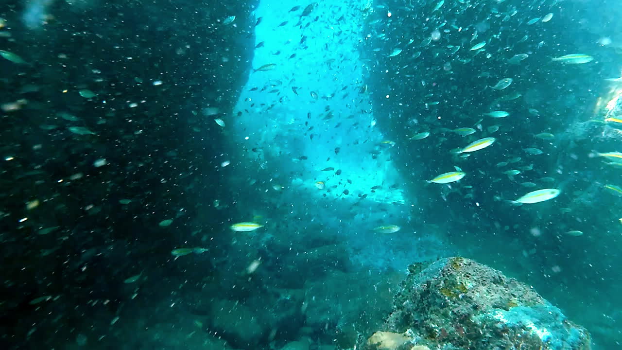 다이빙을 할 때 삶은 더  ⁇ 습니다.