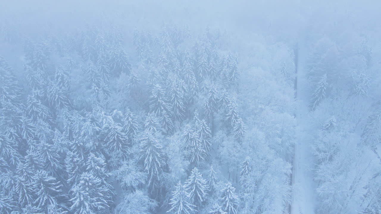 vista aerea della foresta ghiacciata con alberi innevati