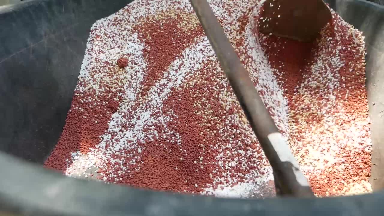 12-35 f2.8 렌즈로 gh5에 화학비료 주사