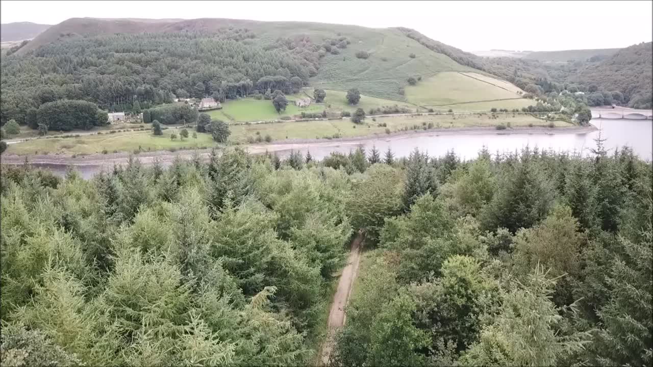 영국의 수천 개의 숲 중 단 한 곳을 비행하는 드론