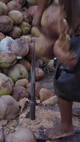 preparing coconuts