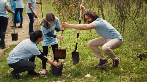 equipo de voluntarios plantando árboles alrededor de la zona forestal para la preservación de la naturaleza