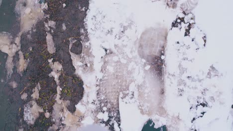 man-legs-in-black-boots-walk-along-street-with-melted-snow