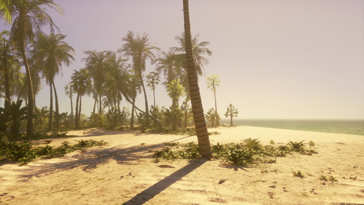 Tropical Beach Paradise