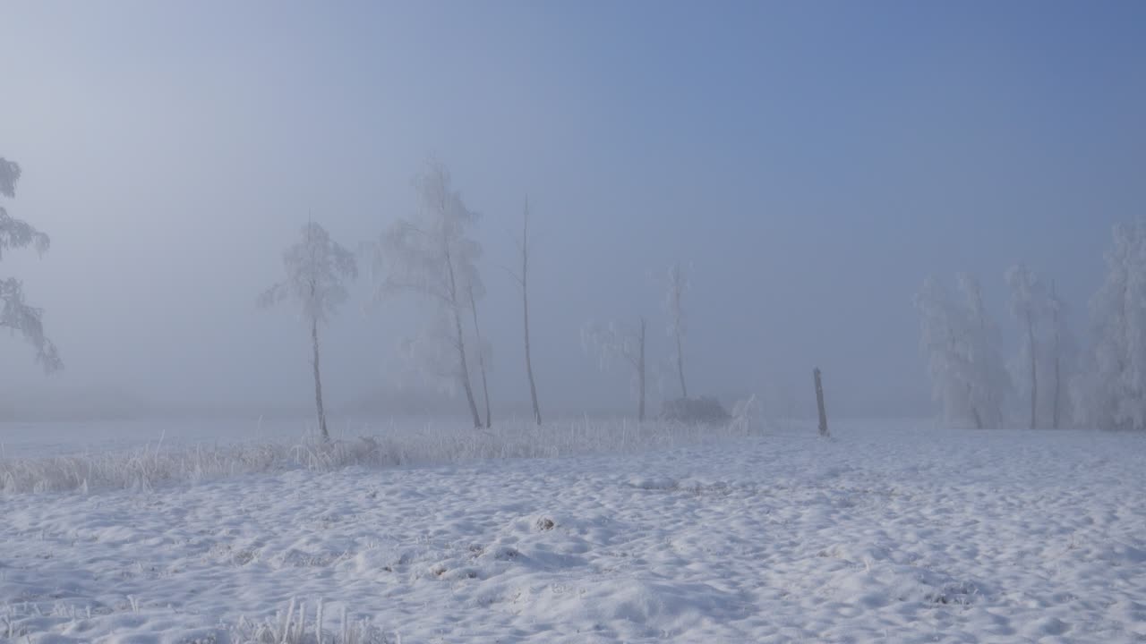 깊은 겨울 풍경, 모든 것이 눈과 색, 심지어 나무가 얼어붙은, 태양은 안개를 통해 빛나려고하고 하늘의 일부는 파란색입니다.
