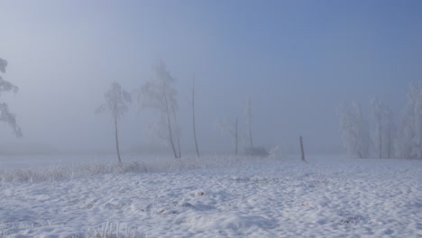 paisaje de invierno profundo. todo está nevado y blanco, incluso los árboles están congelados. el sol trata de brillar a través de la niebla y parte del cielo es azul. país de las maravillas de invierno
