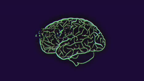 Animation-of-digital-brain-on-black-background