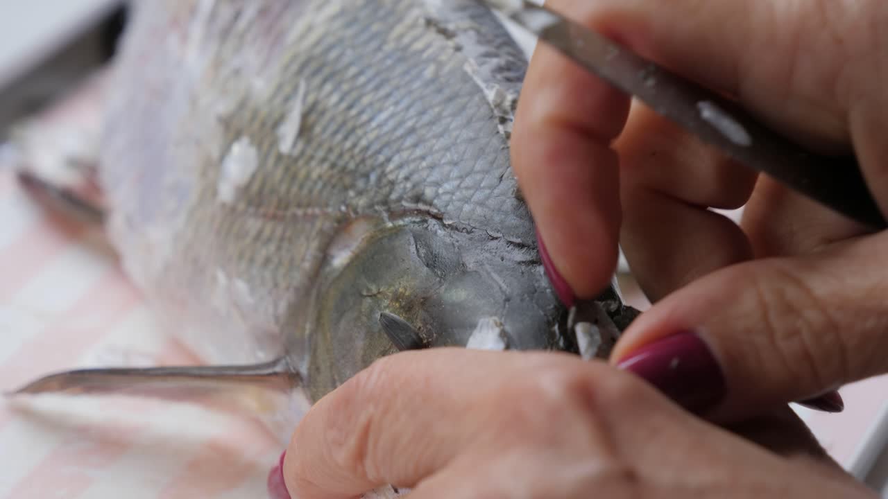 despejar las escamas de los peces, estático, de cerca
