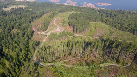 Luftaufnahme,-Die-Einen-Teilweise-Abgeholzten-Wald-Und-Berge-Rund-Um-Einen-Blauen-See-In-Dunstigen-Bedingungen-Aufgrund-Regionaler-Waldbrände-Zeigt